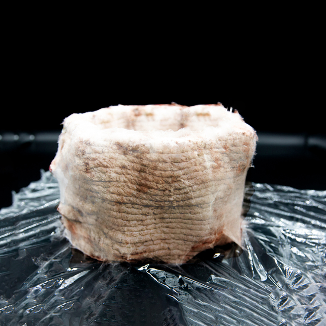 Yaşayan binalar ve miselyum