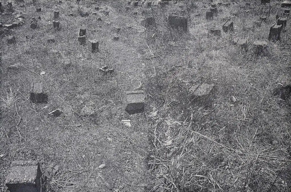 Deniz Aktaş ve hontolojik manzaralar 