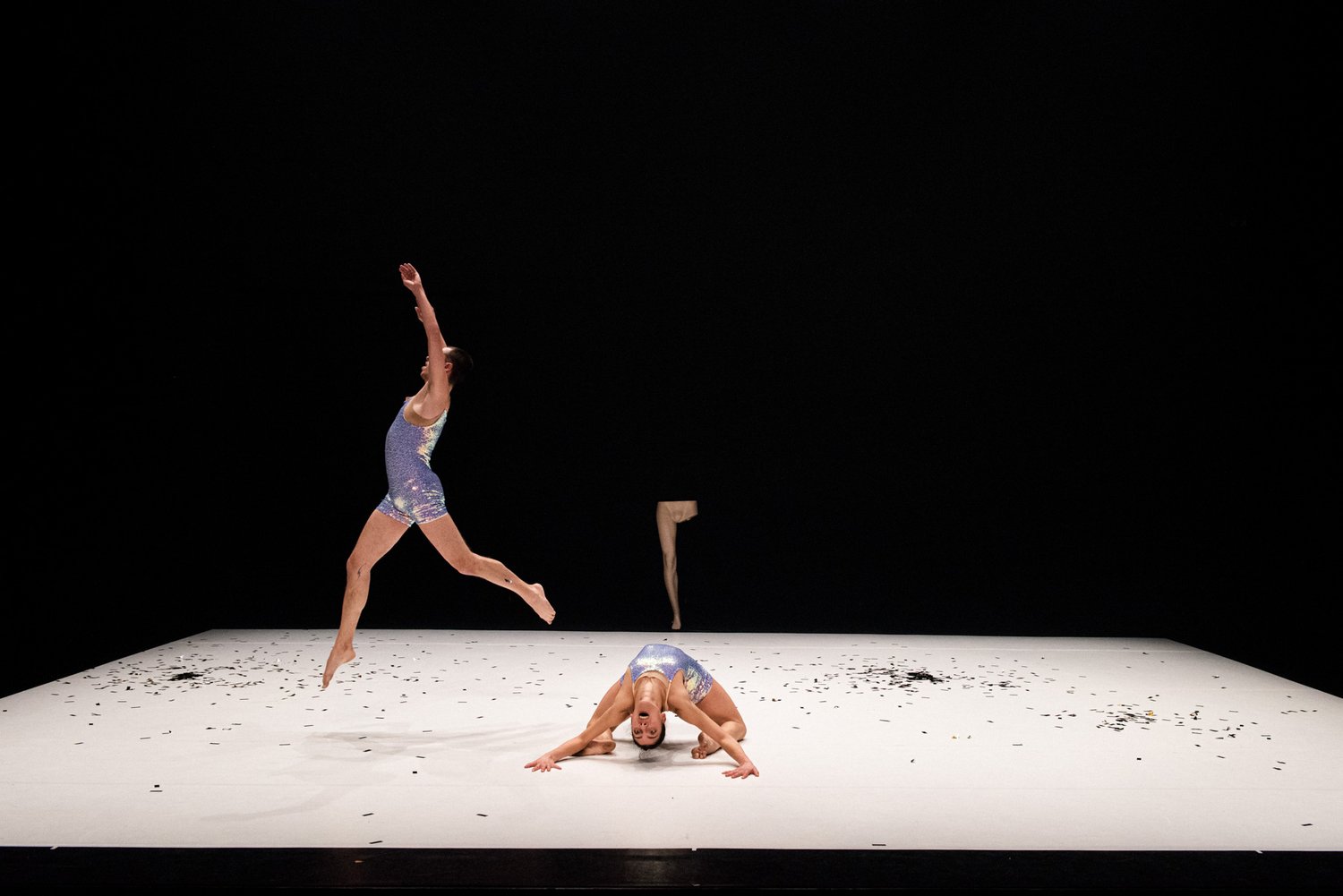 On soruluk sohbetler: Thibaut Eiferman