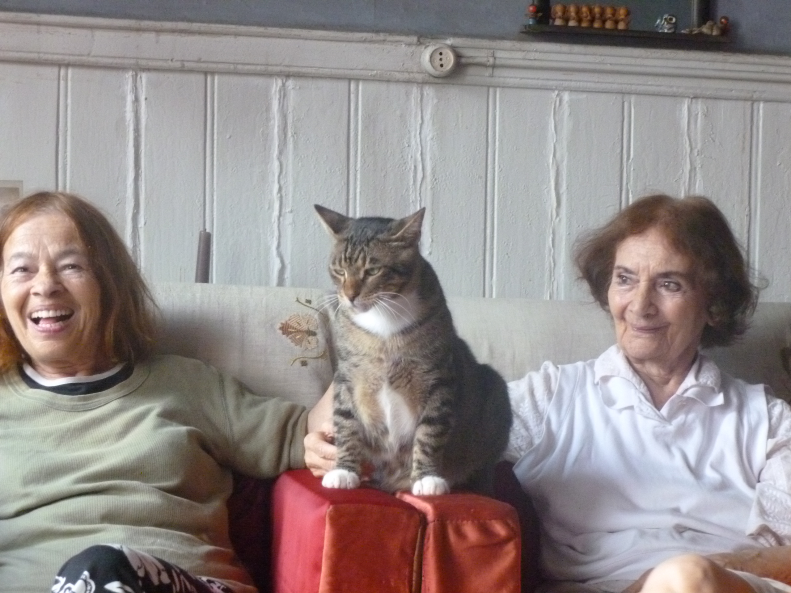 YEL, TOZ, PORTRELER: Zorba'ya ağıt