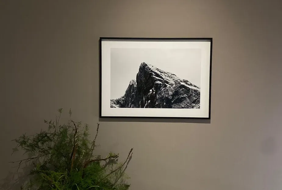 Sessizlik Atlası, Sergiden g&ouml;r&uuml;n&uuml;m