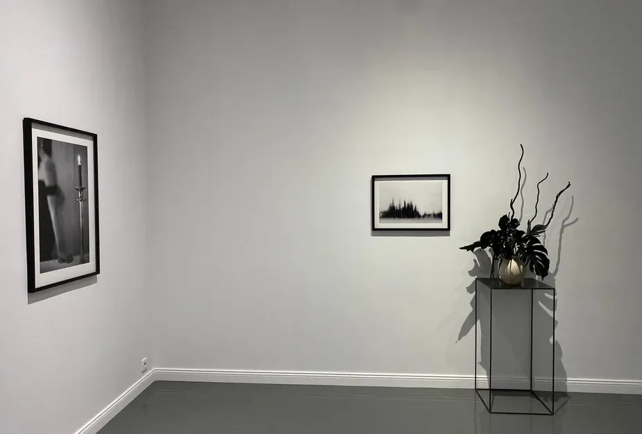 Sessizlik Atlası, Sergiden g&ouml;r&uuml;n&uuml;m