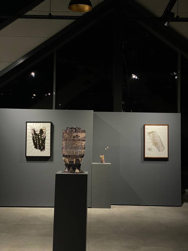 Umut Kambak, D&uuml;şlerin İlk G&uuml;n&uuml;, Sergiden g&ouml;r&uuml;n&uuml;m