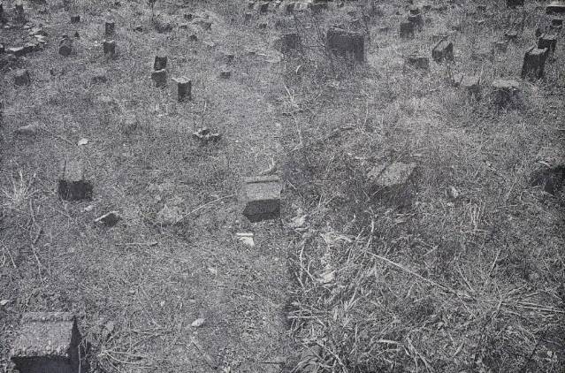 Deniz Aktaş ve hontolojik manzaralar 