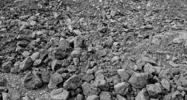 Tuhaf Açı: Cengiz Tekin