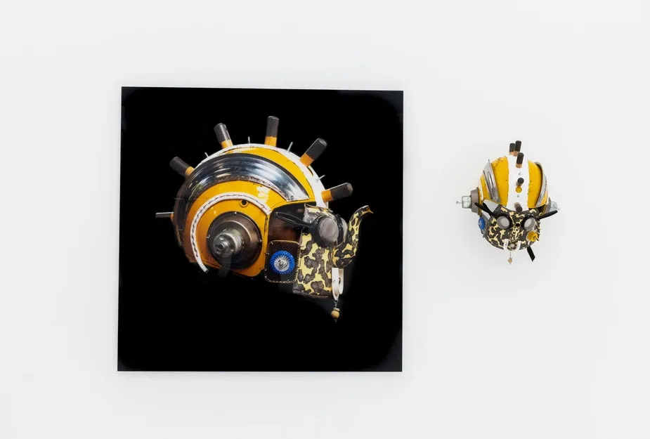 World Nowadays, Sergiden g&ouml;r&uuml;n&uuml;m