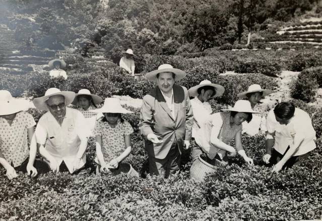 YEL, TOZ, PORTRELER: Nejad Melih Devrim