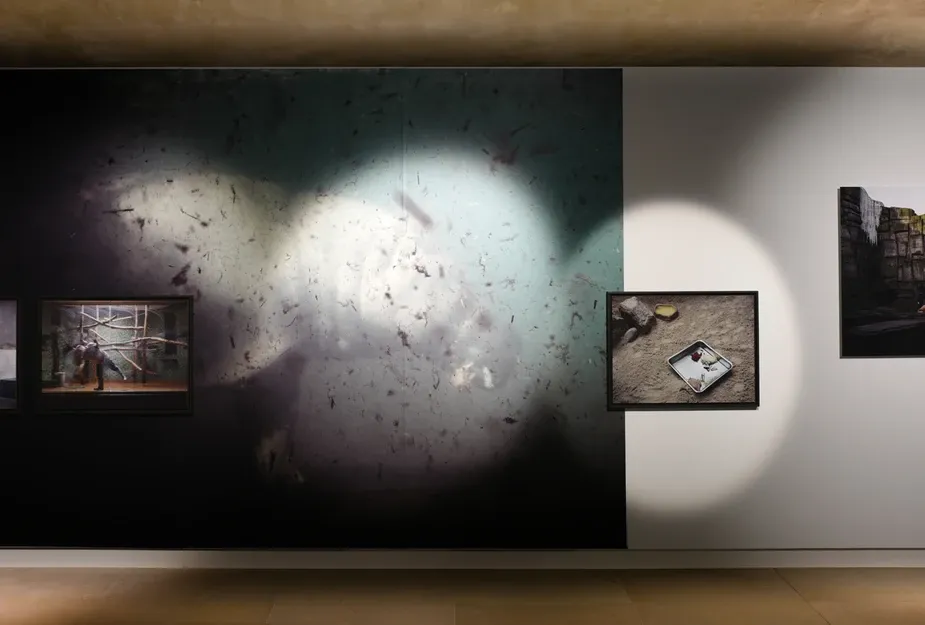 Earth Is Not Flat But Soon Will Be, Sergiden g&ouml;r&uuml;n&uuml;m