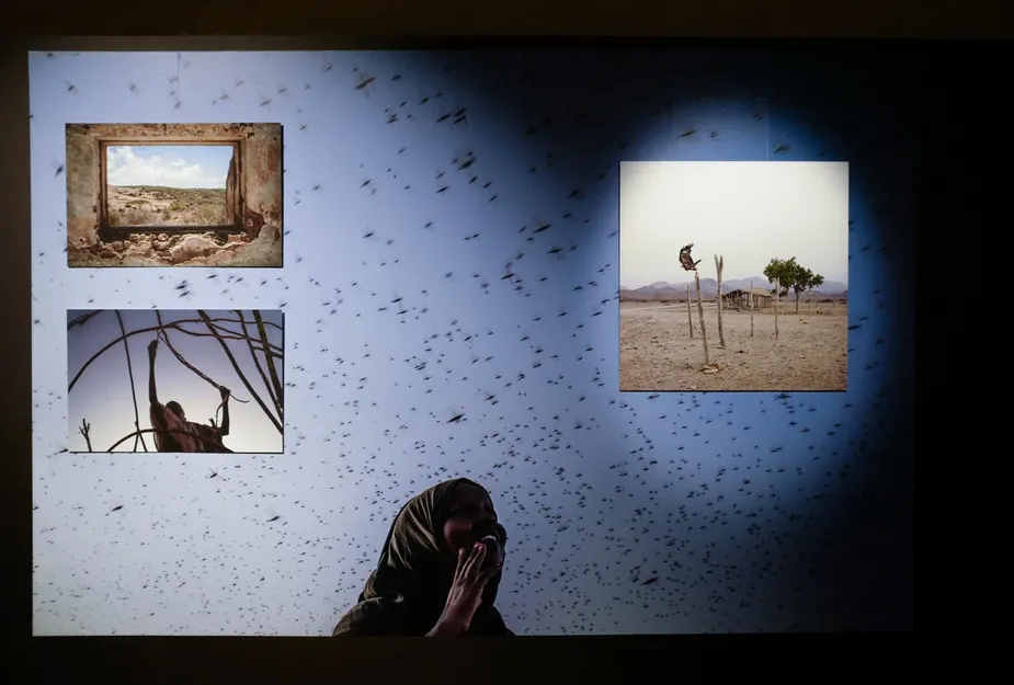 Earth Is Not Flat But Soon Will Be, Sergiden g&ouml;r&uuml;n&uuml;m